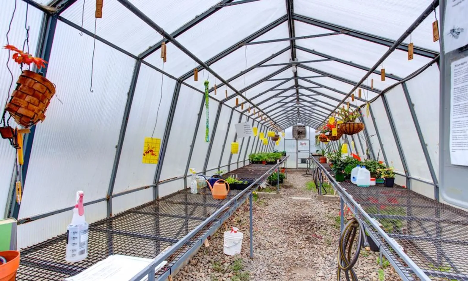 Greenhouse