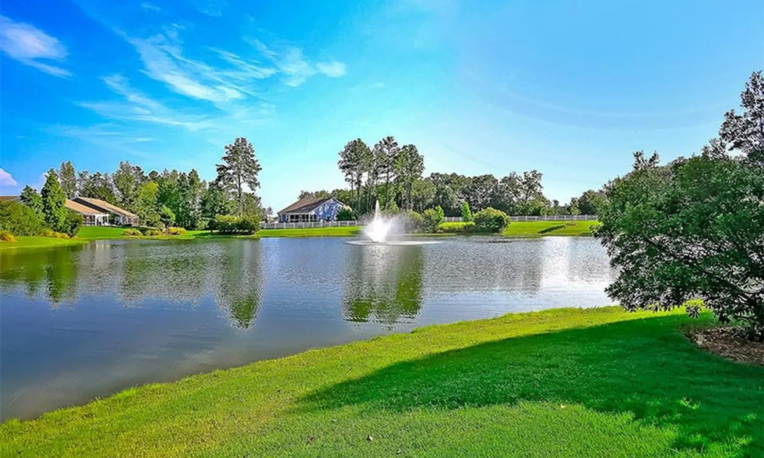 Scenic Ponds
