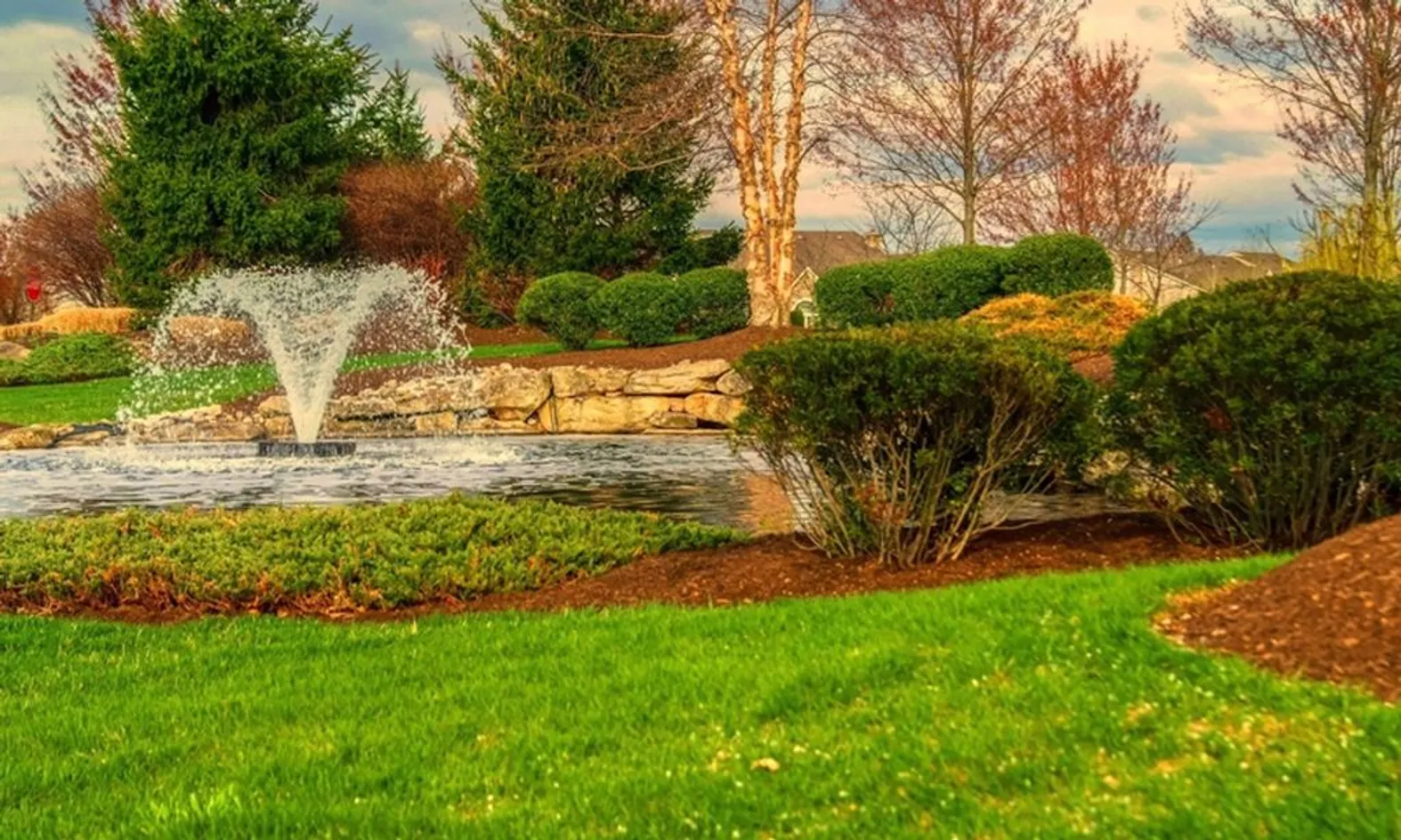 Scenic Pond