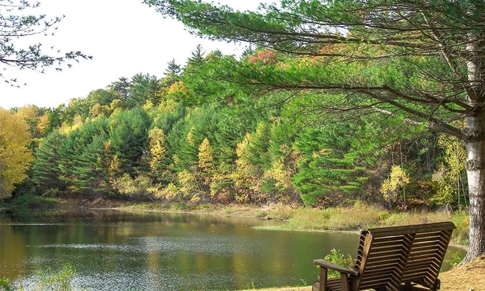 Scenic Pond