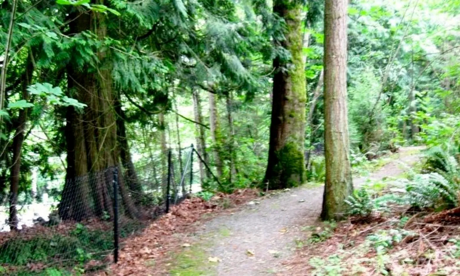 Nature Trail