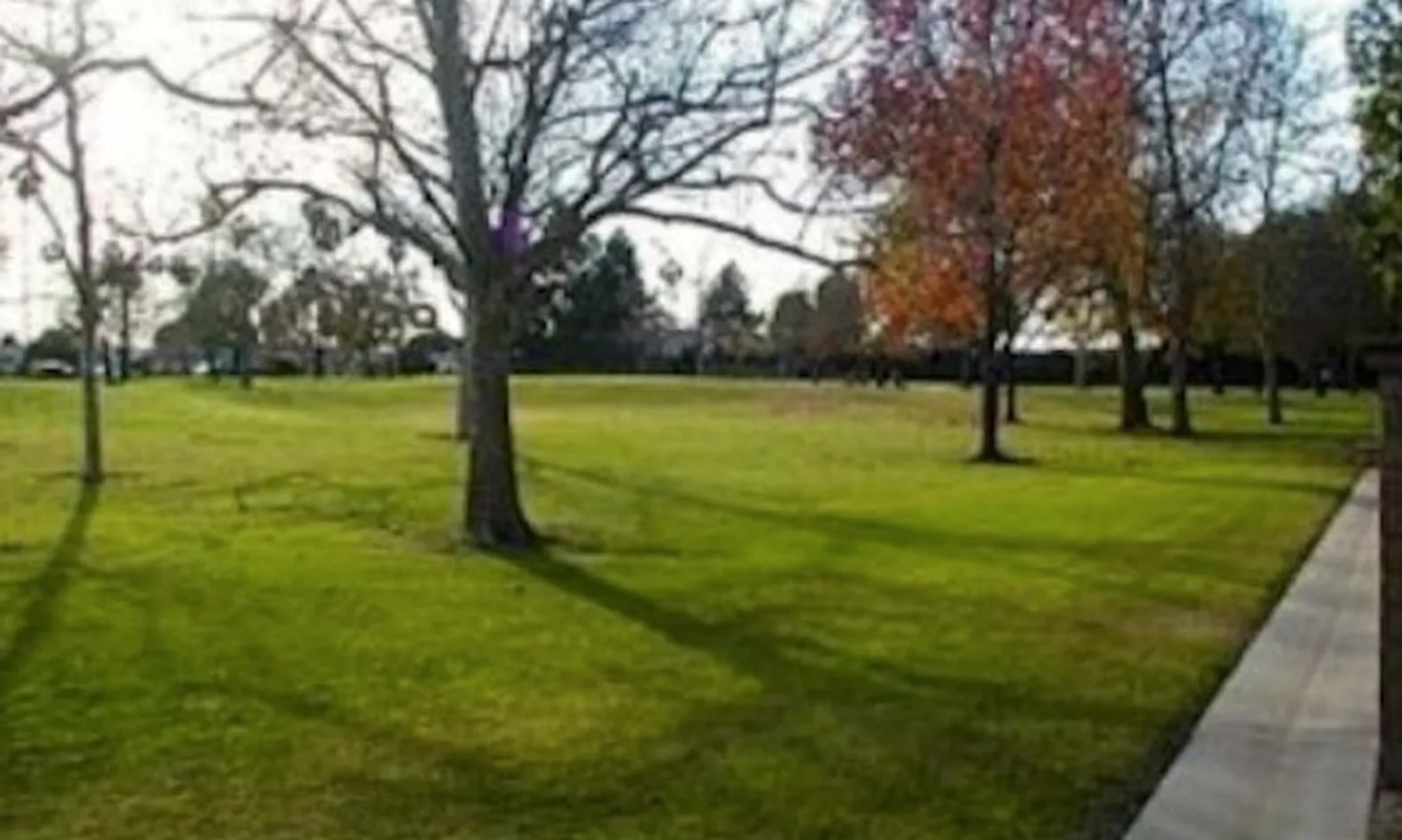 Park-like setting