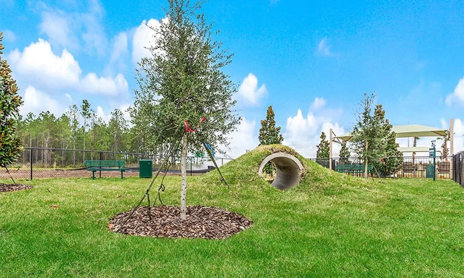 Dog Park