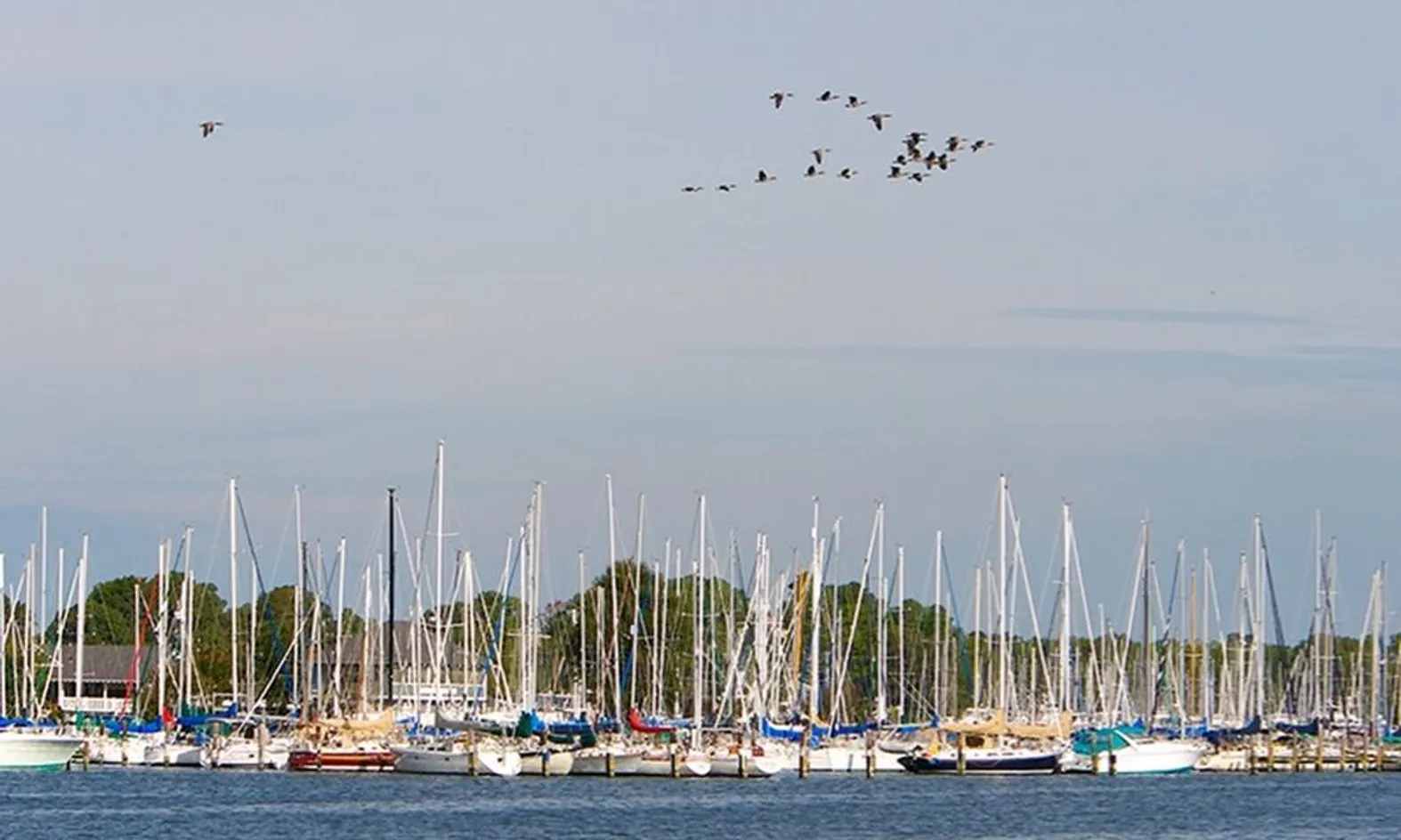Marina & Boat Slips