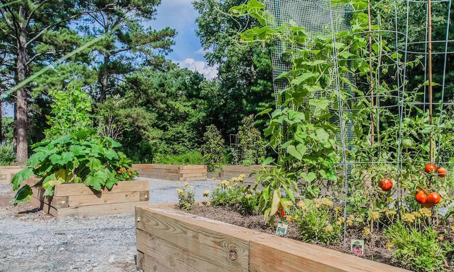 Gardening Plots