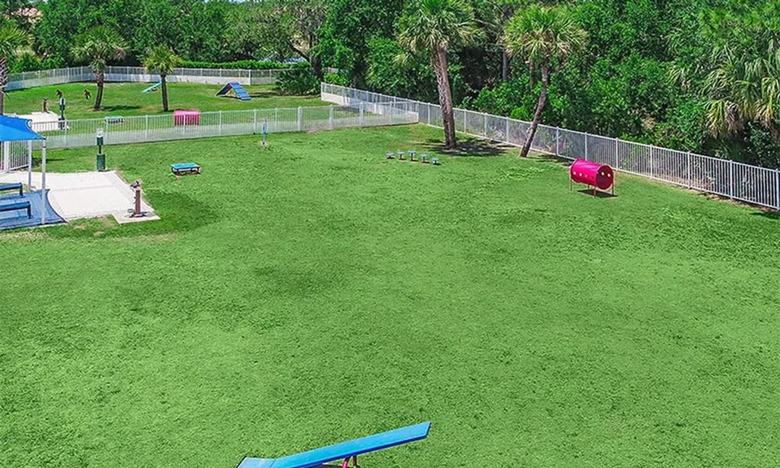 Dog Park