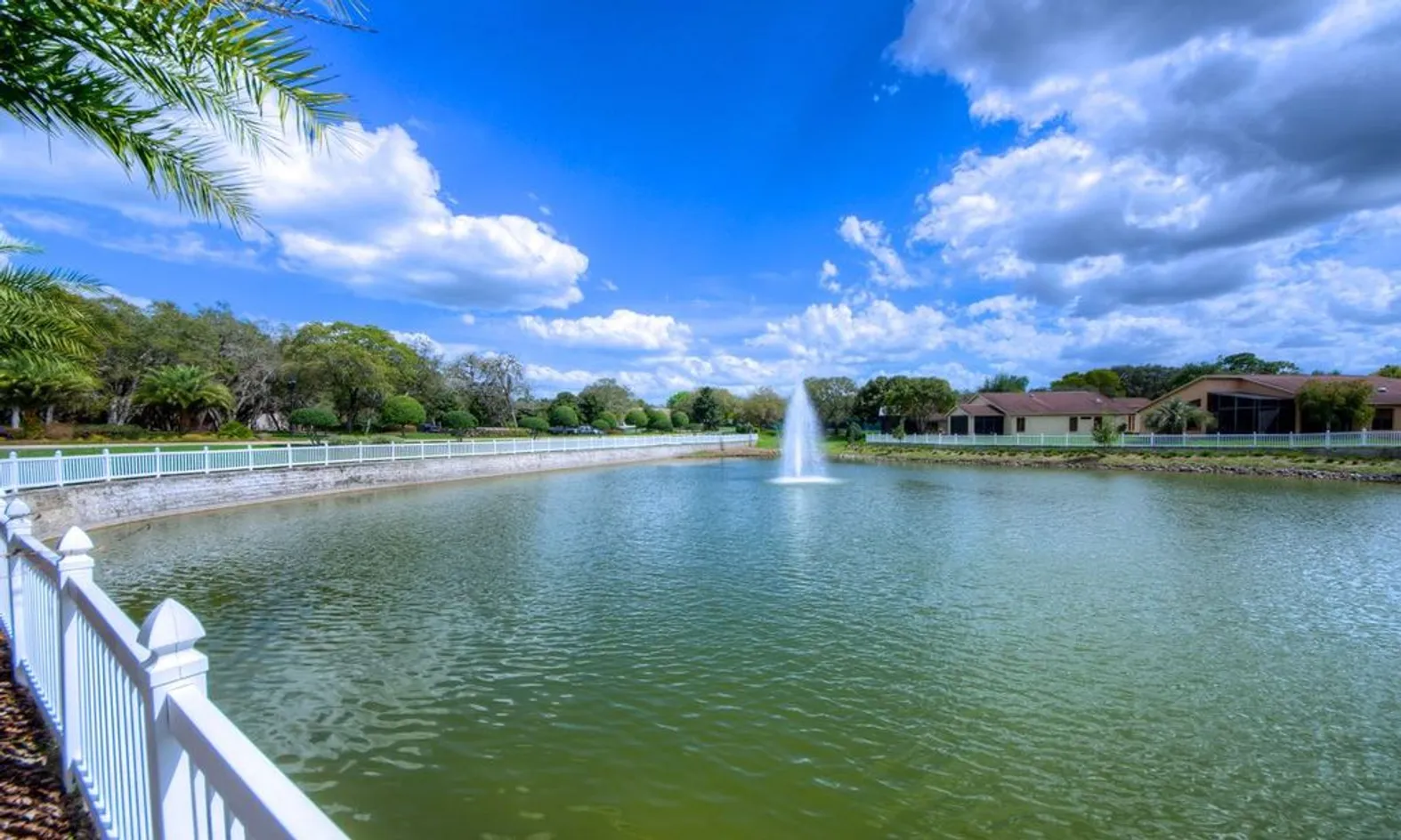 Scenic Ponds