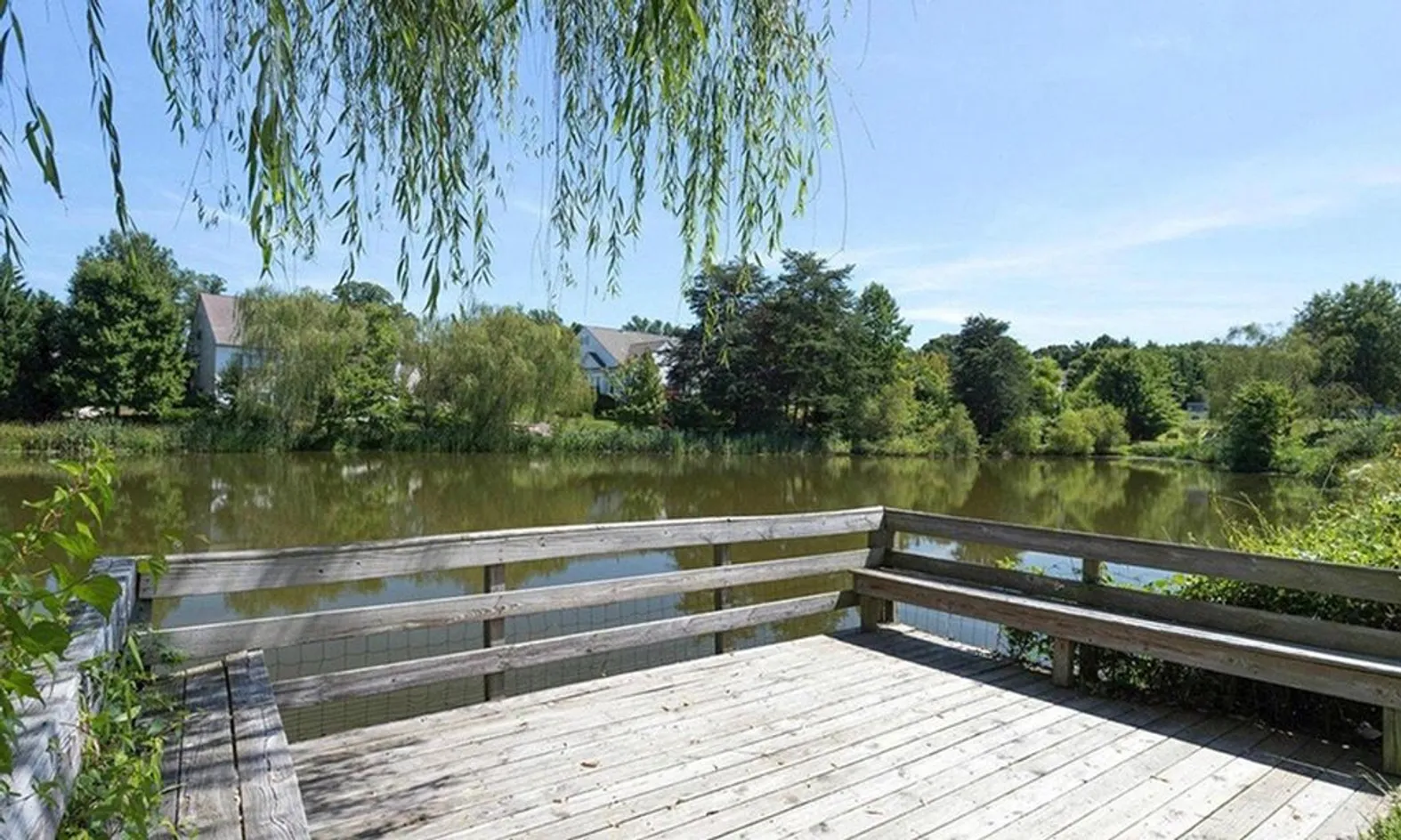 Steeple Pond