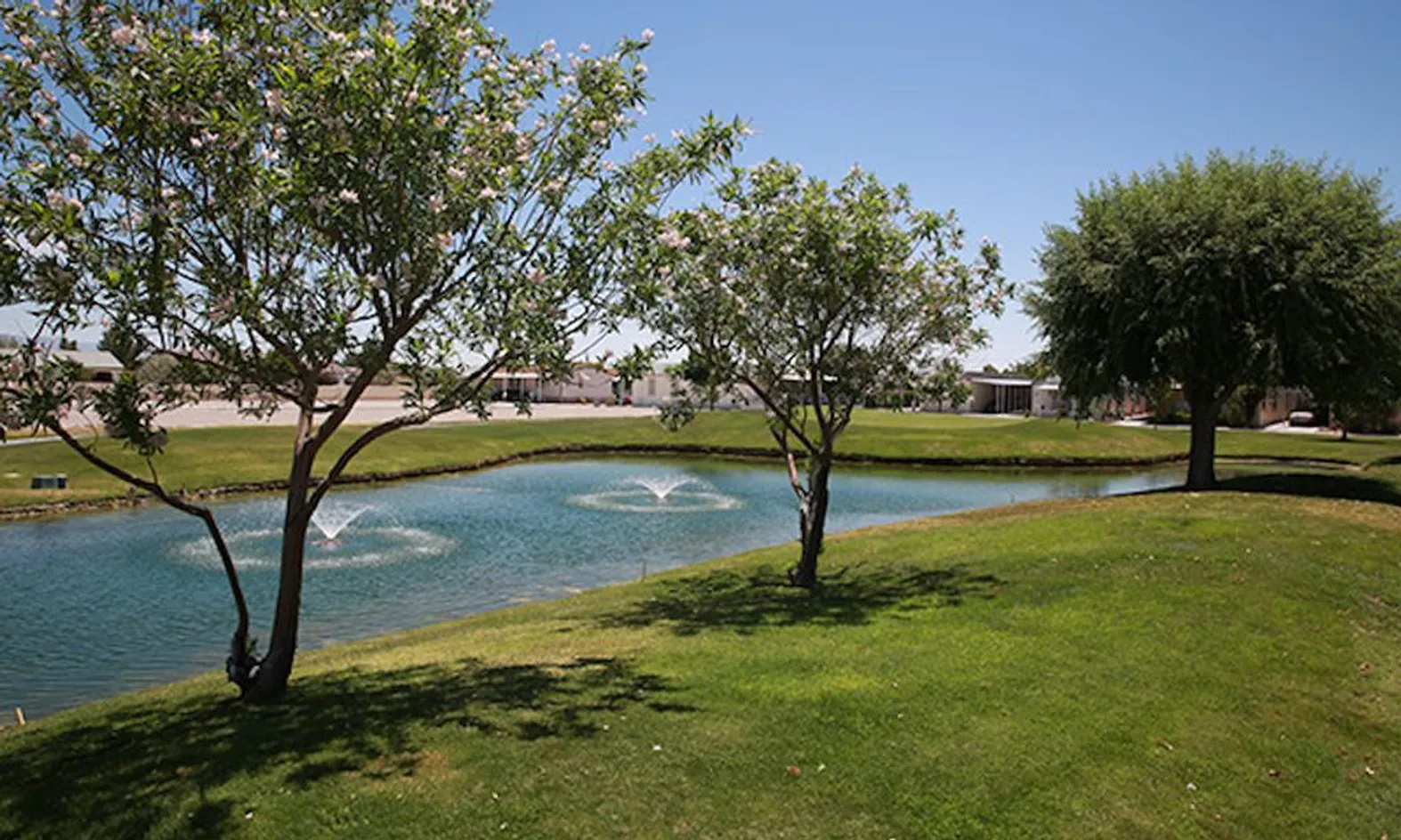 Scenic Pond