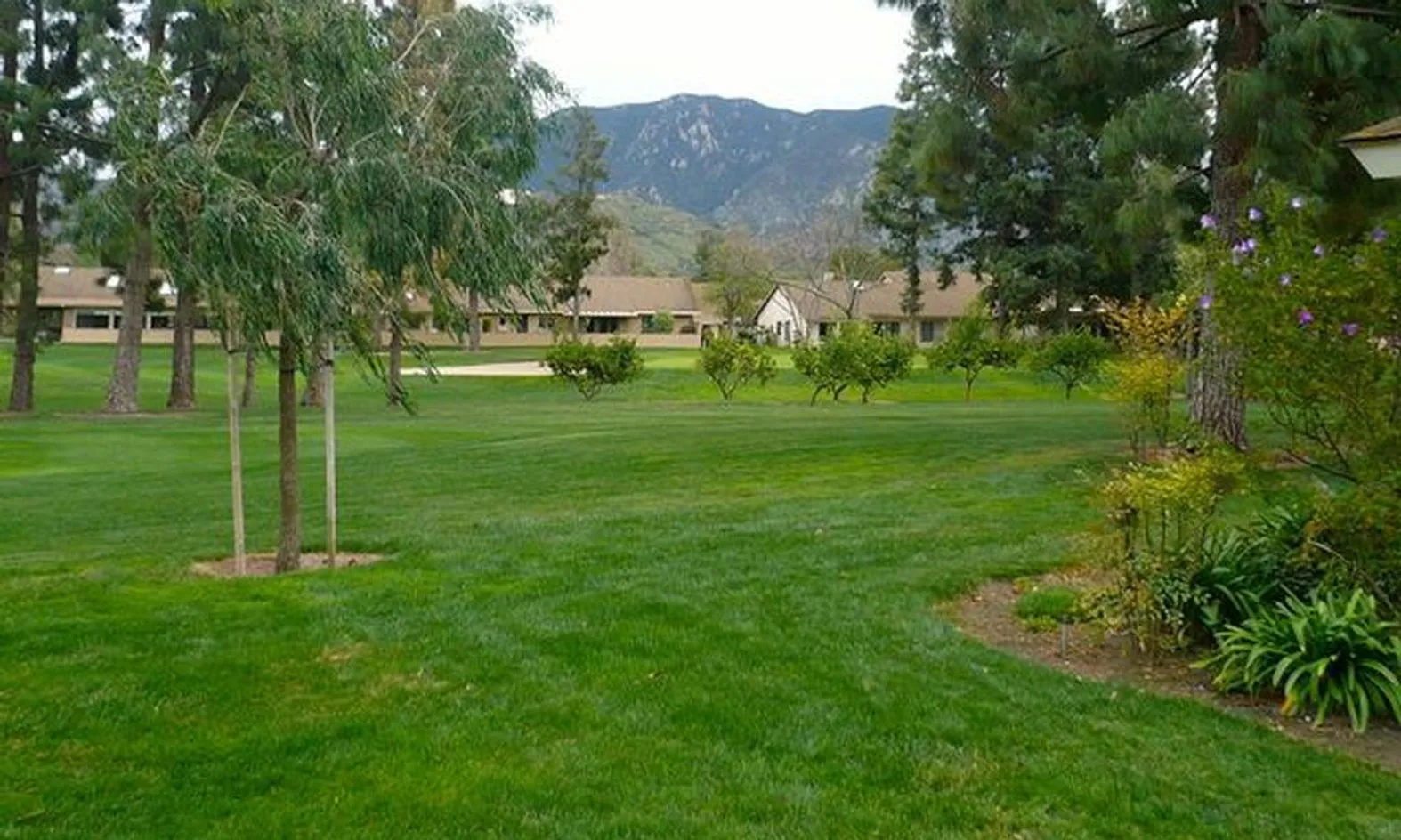 Beautiful Landscape