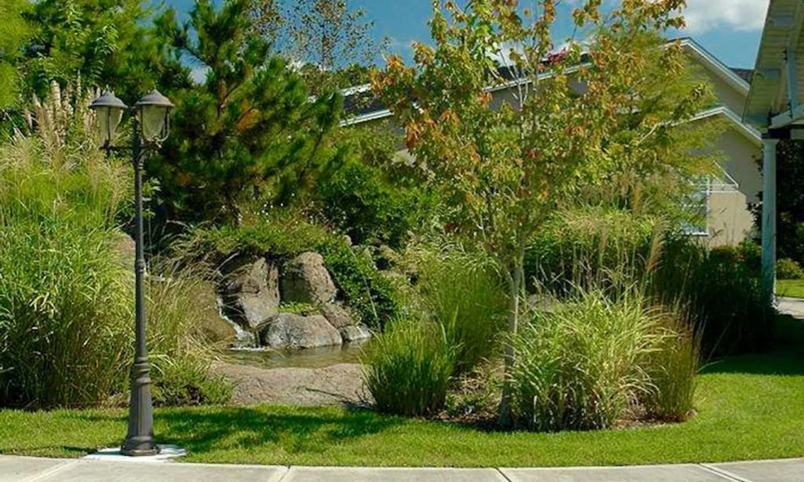 Scenic Walking Trails