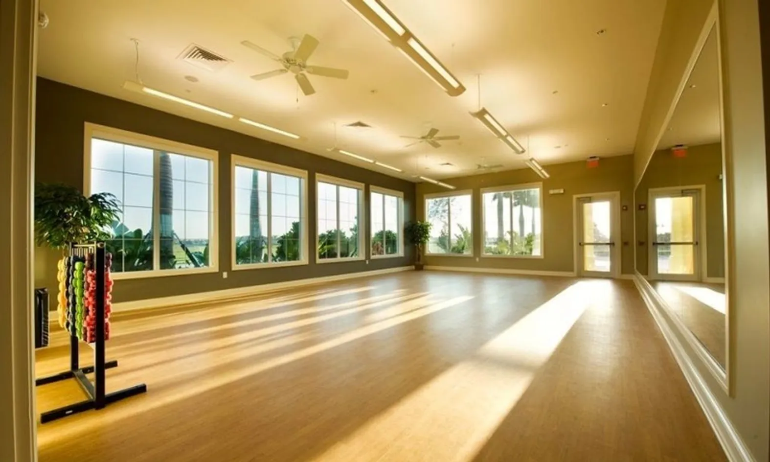 Movement Studio