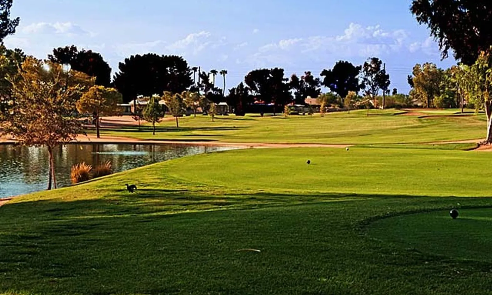 Cottonwood Golf Course
