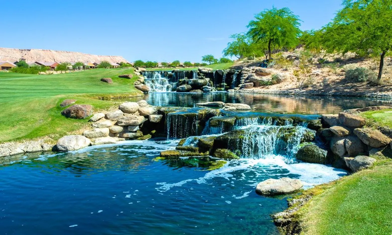 Scenic Ponds