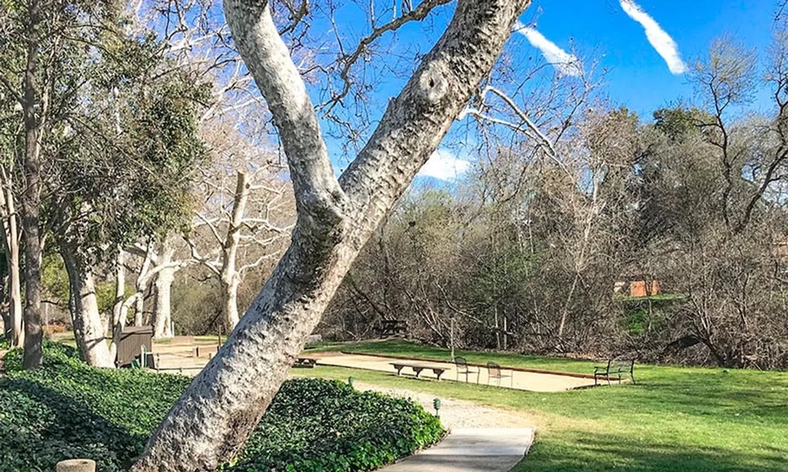 Bocce Ball Courts