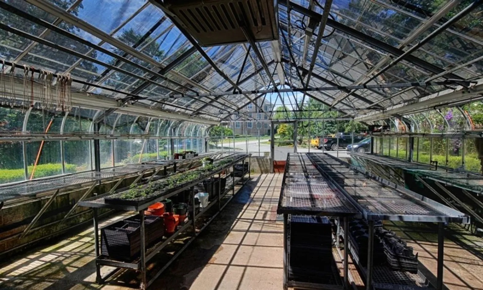 Greenhouse