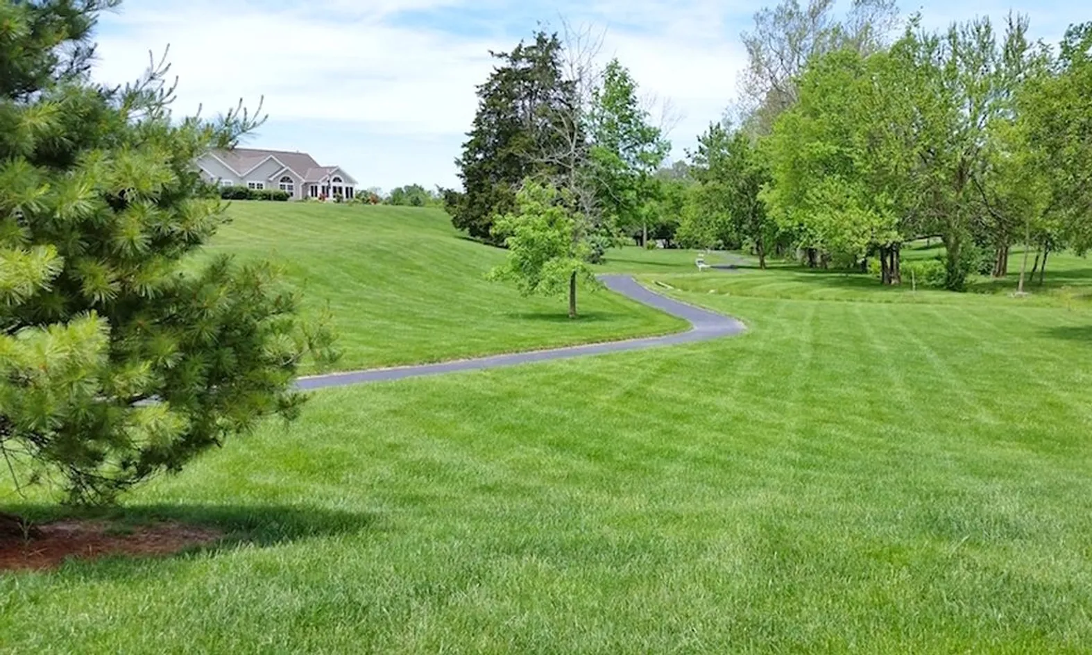 Walking Trails