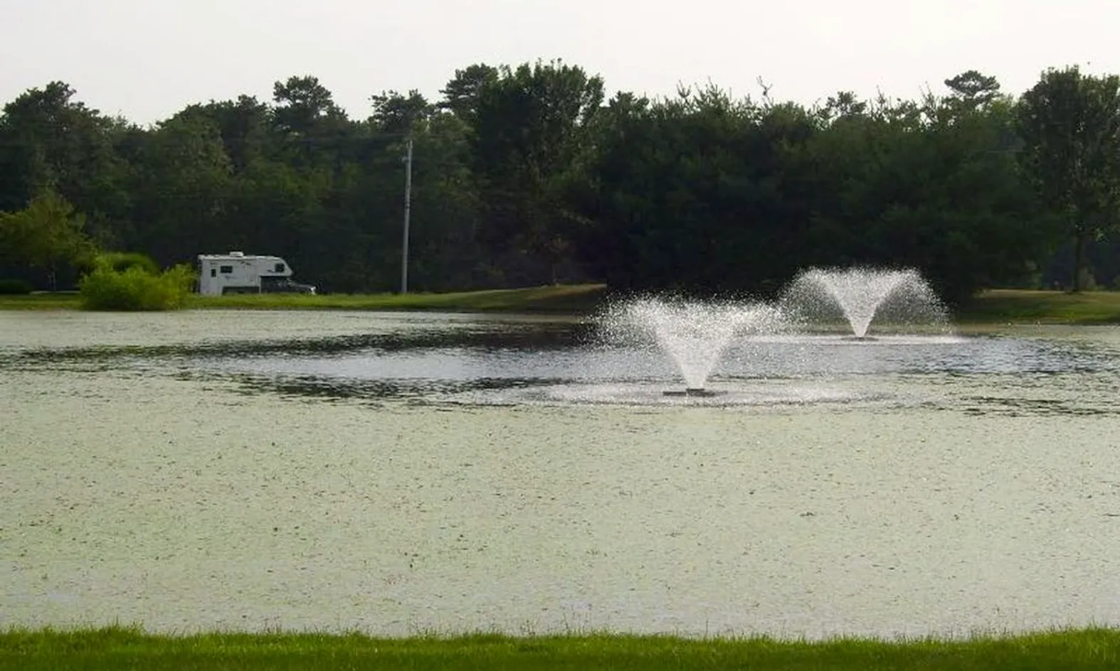 Scenic Ponds