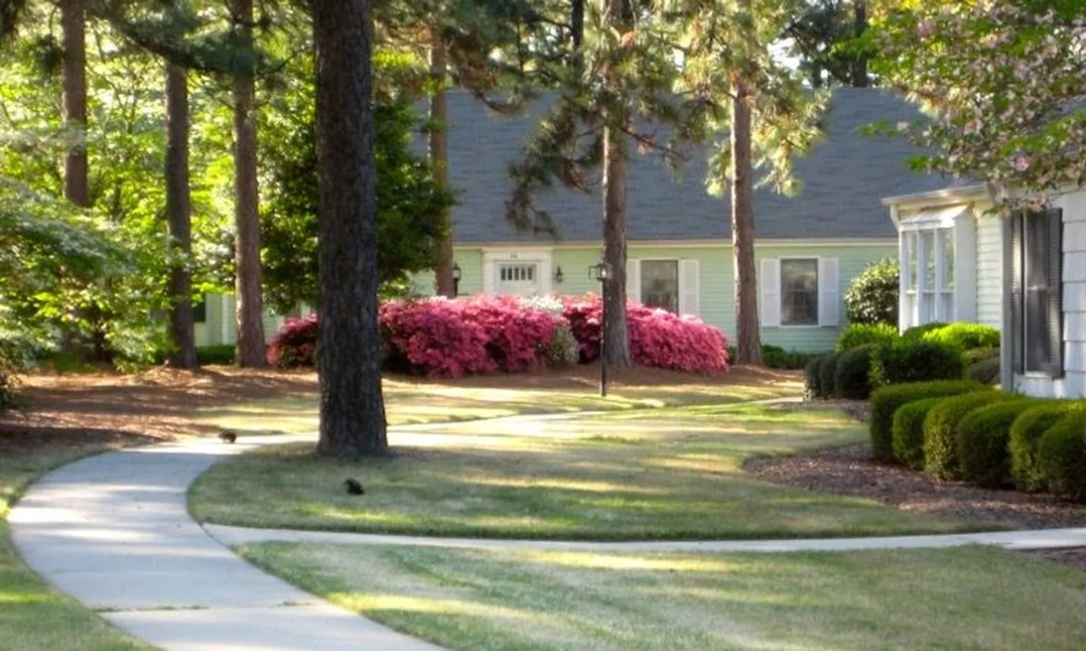 Walking Path