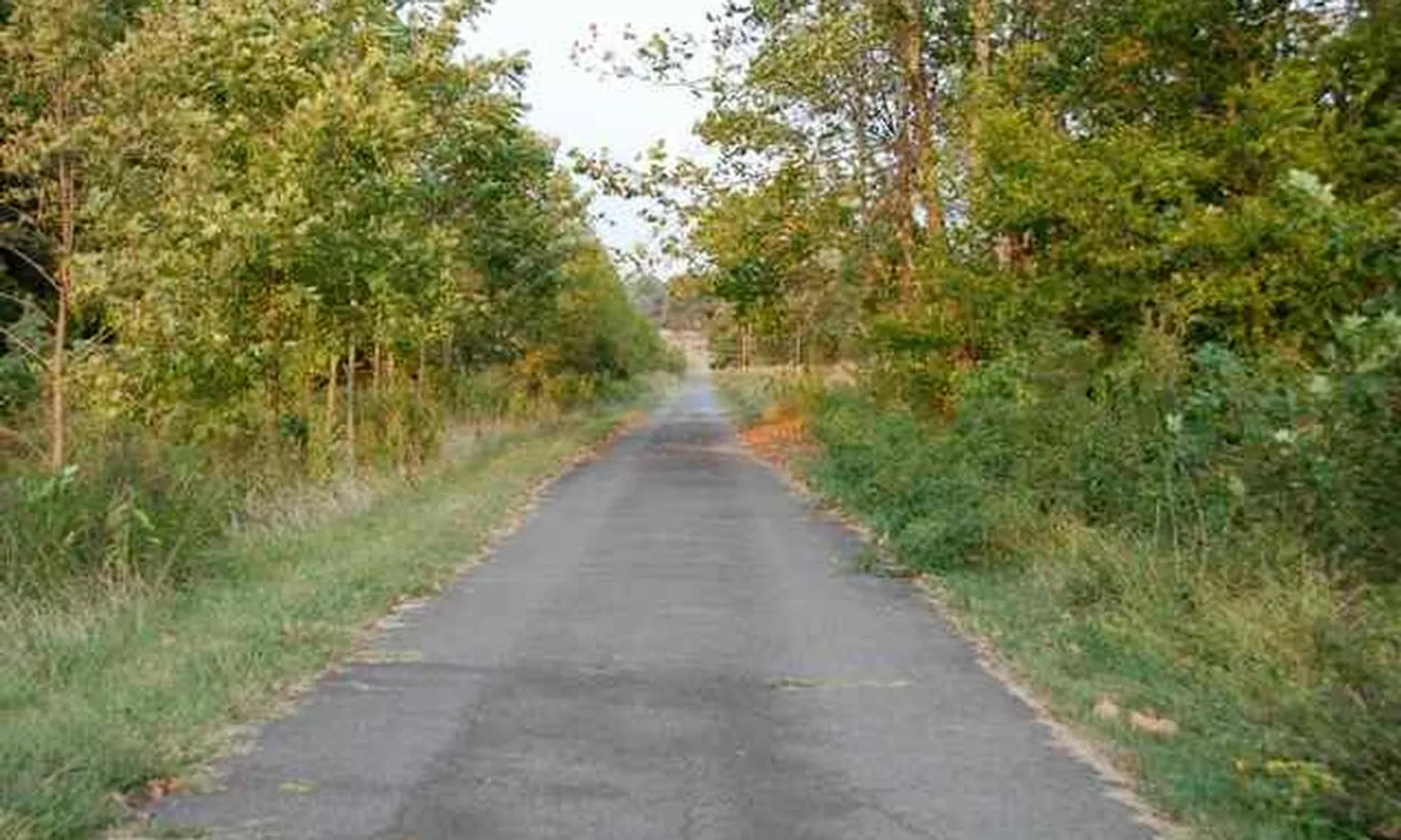 Walking & Biking Trails