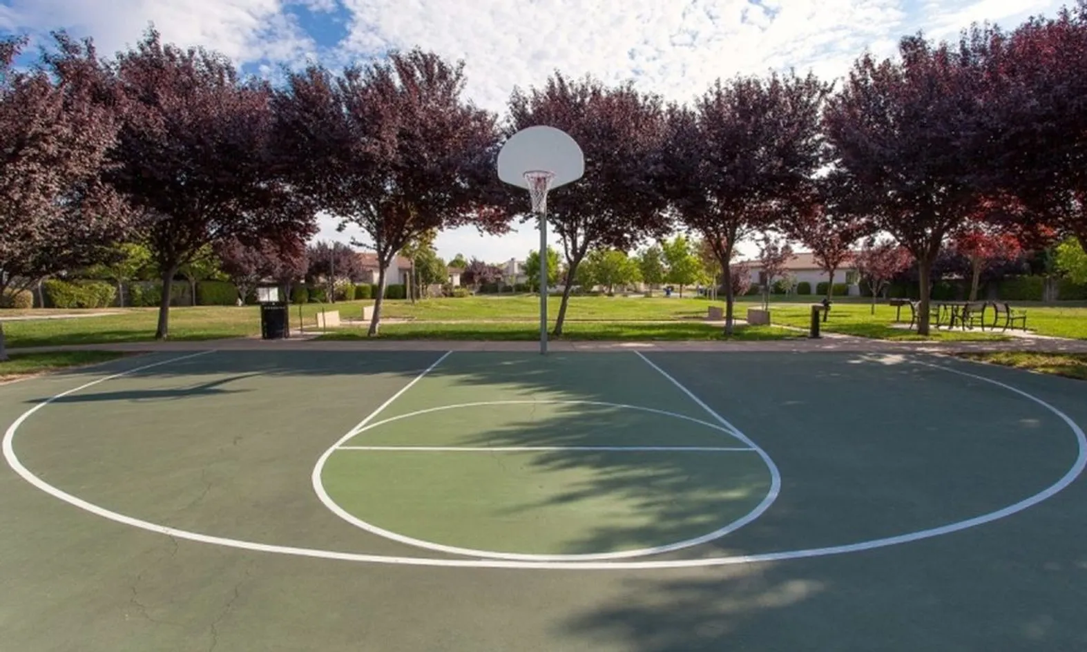 Basketball Court