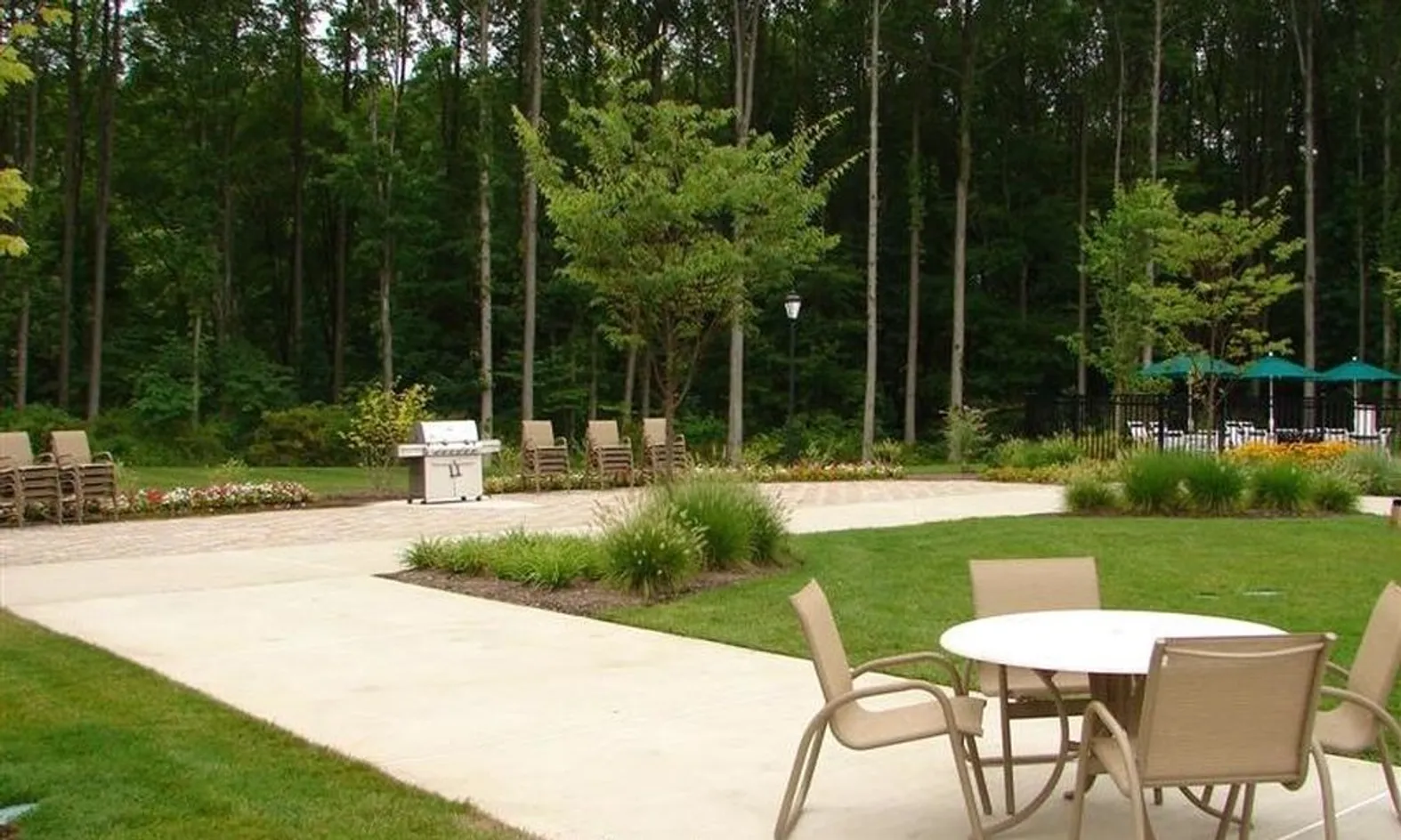 Outdoor Patio