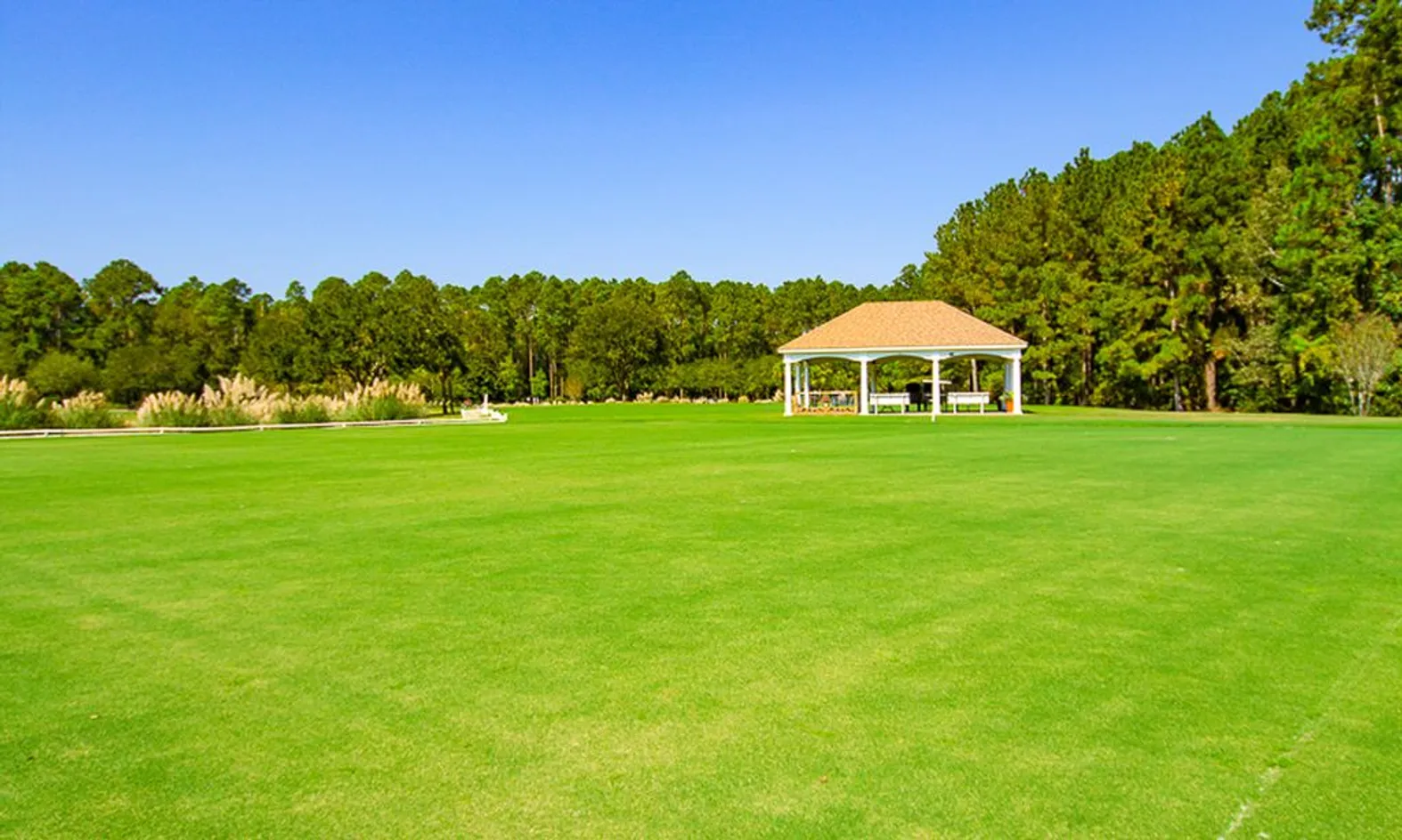 Activity Lawn