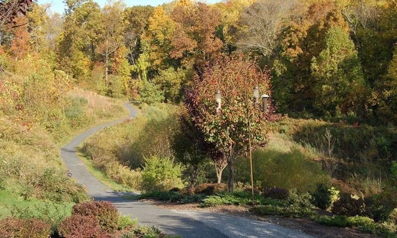 Walking Trails