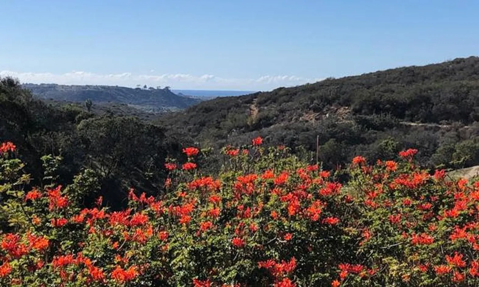Ocean Hills Country Club