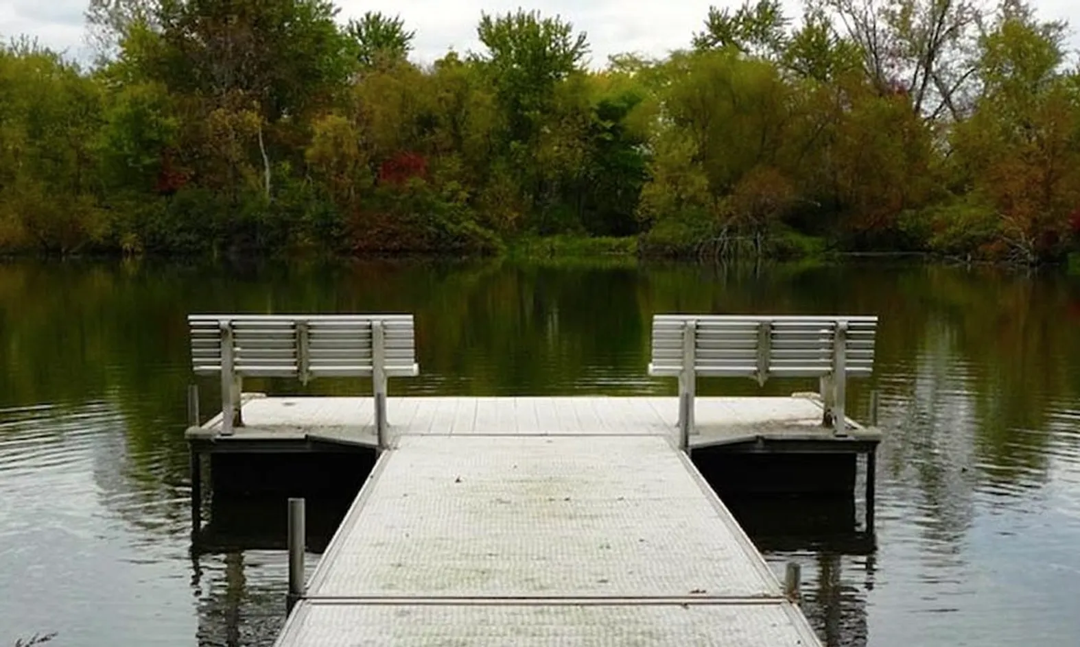 Scenic Pond