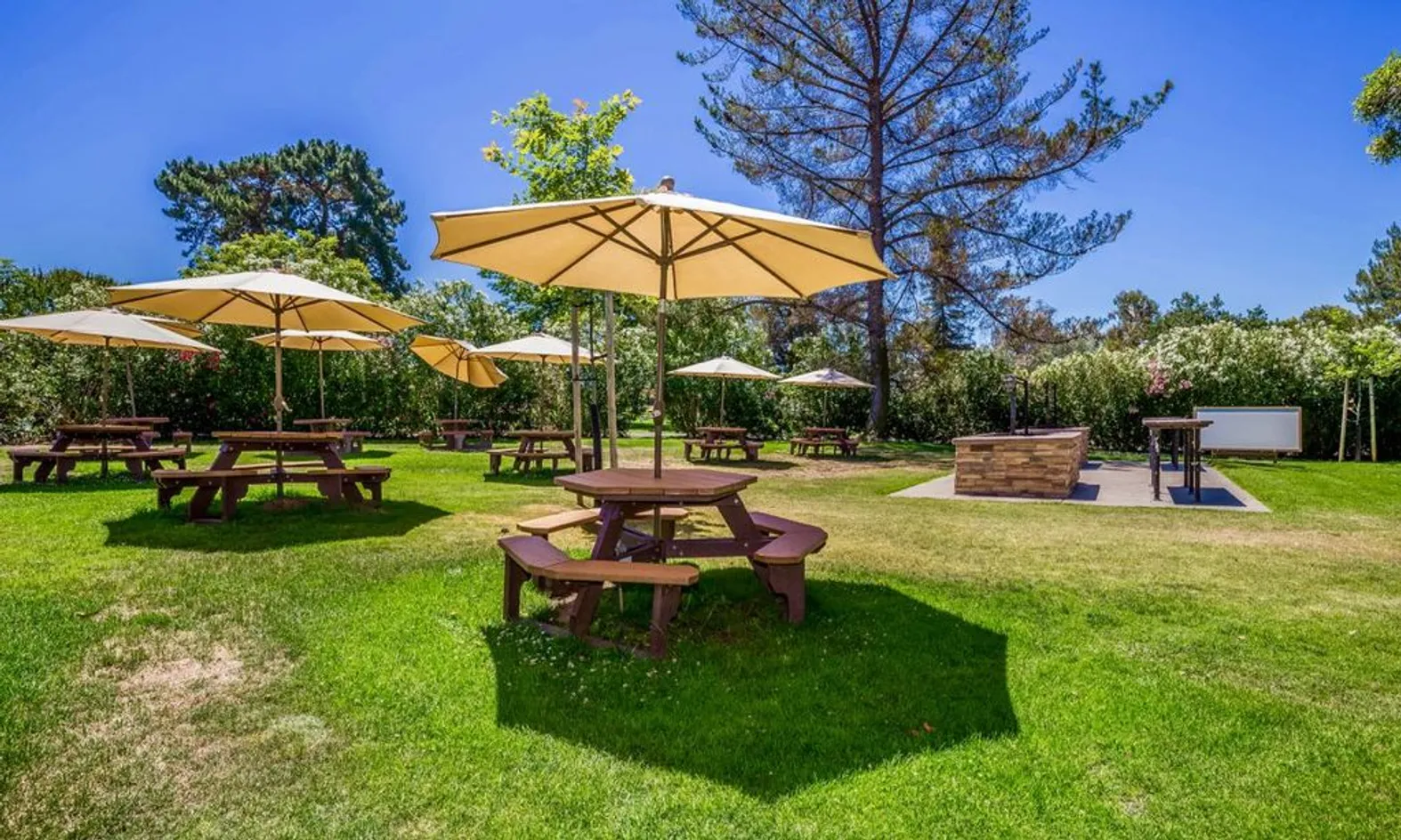 Barbecue Area