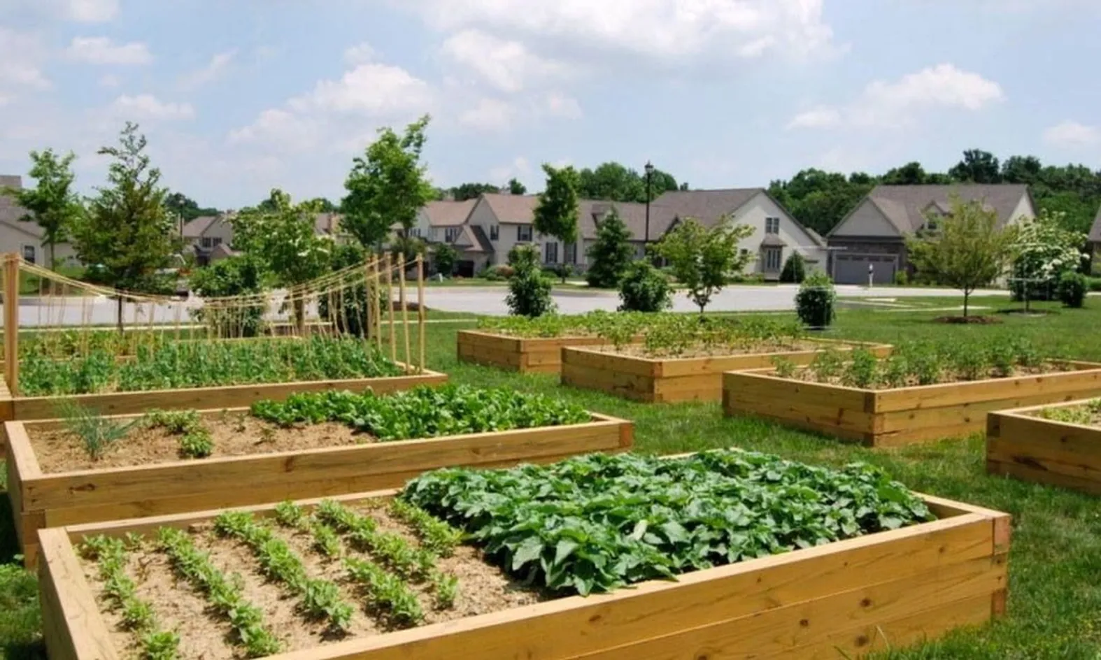 Gardening Plots