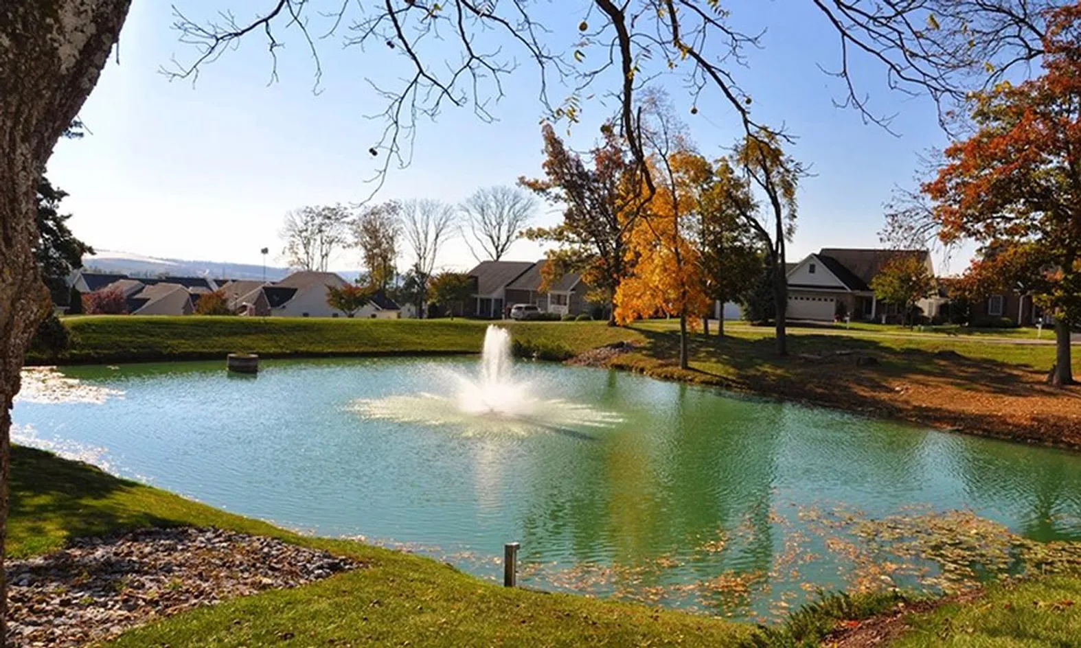 Scenic Lake