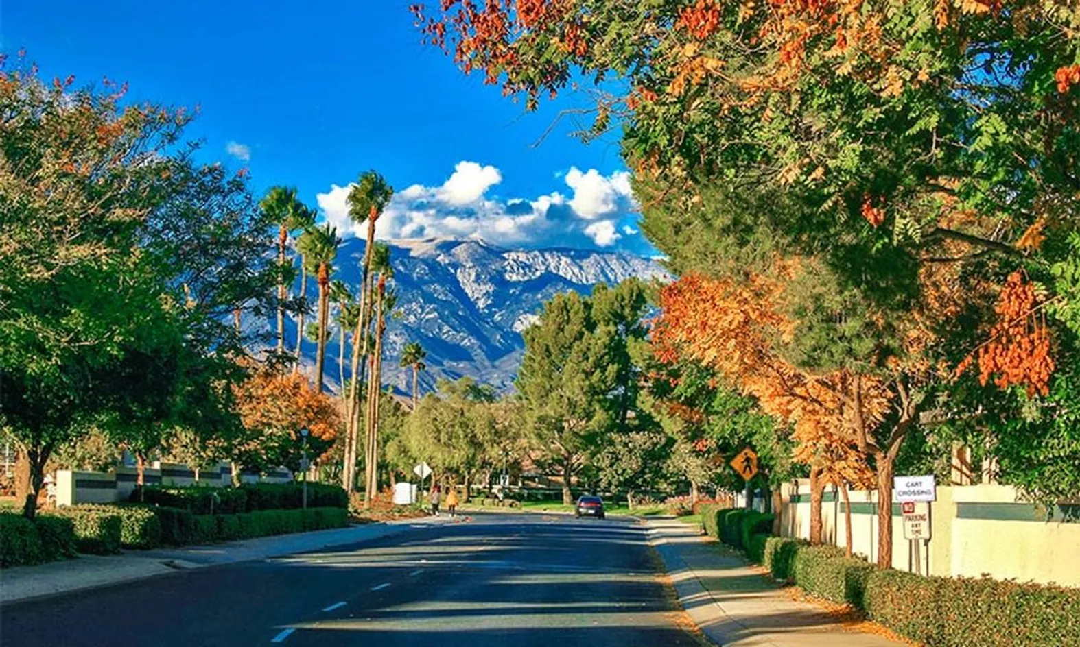 Mountain Views