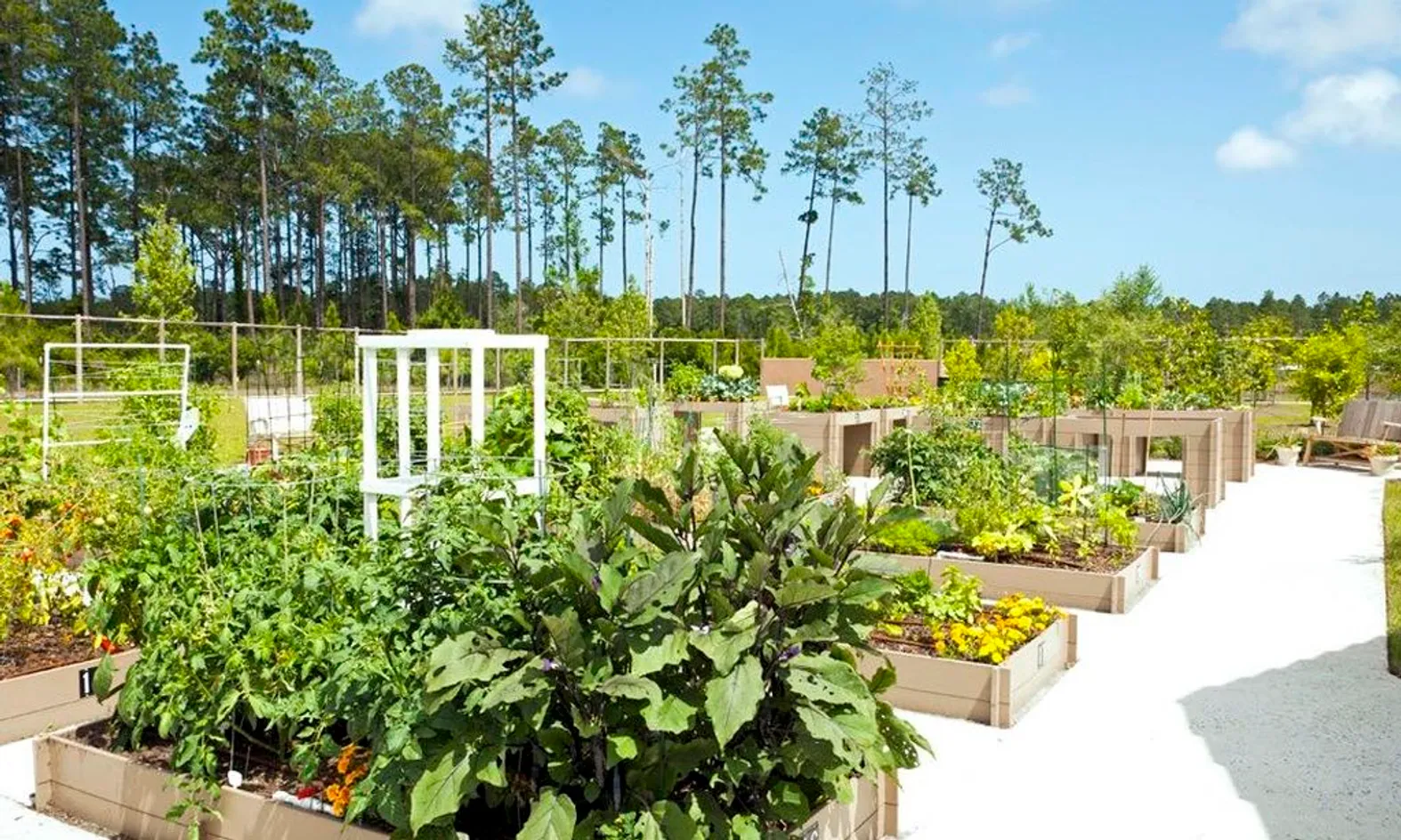 Gardening Plots
