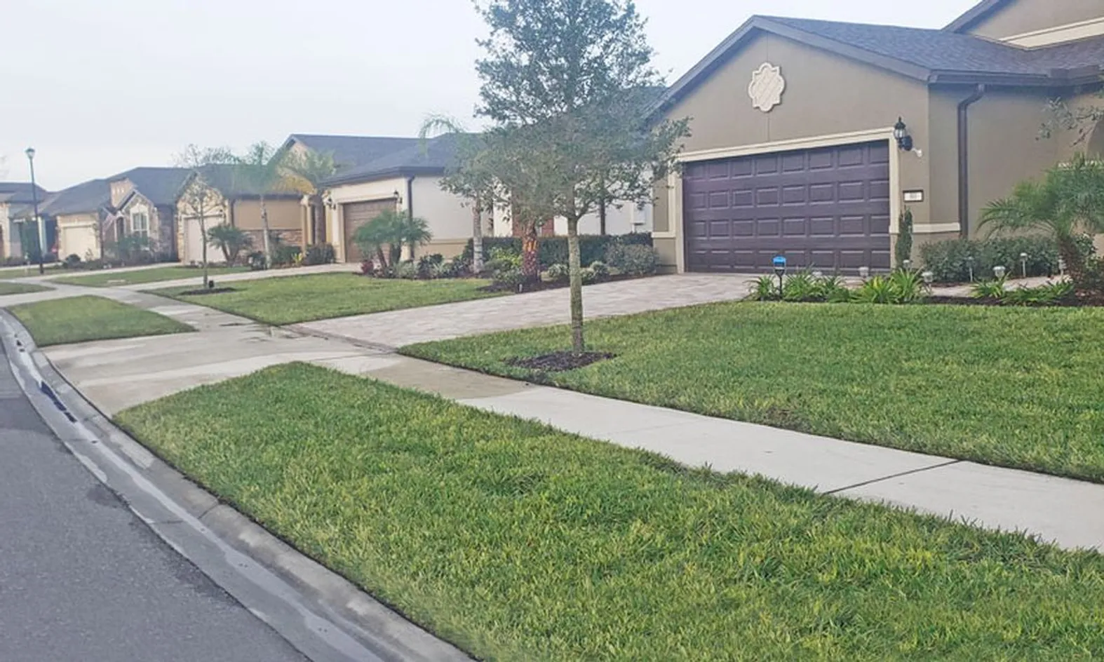 Single Family Homes