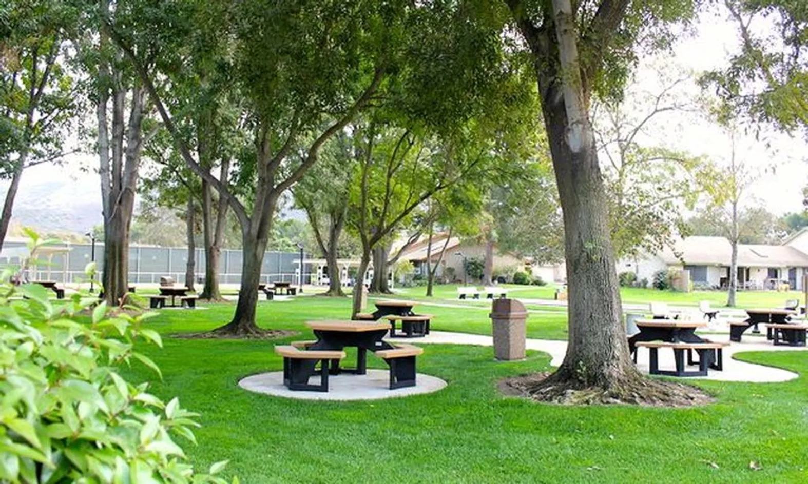 Picnic Area