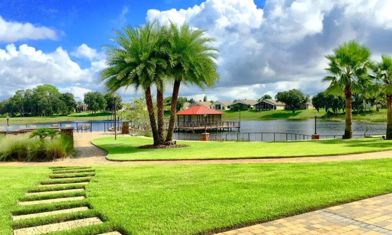 Tree of Life Park
