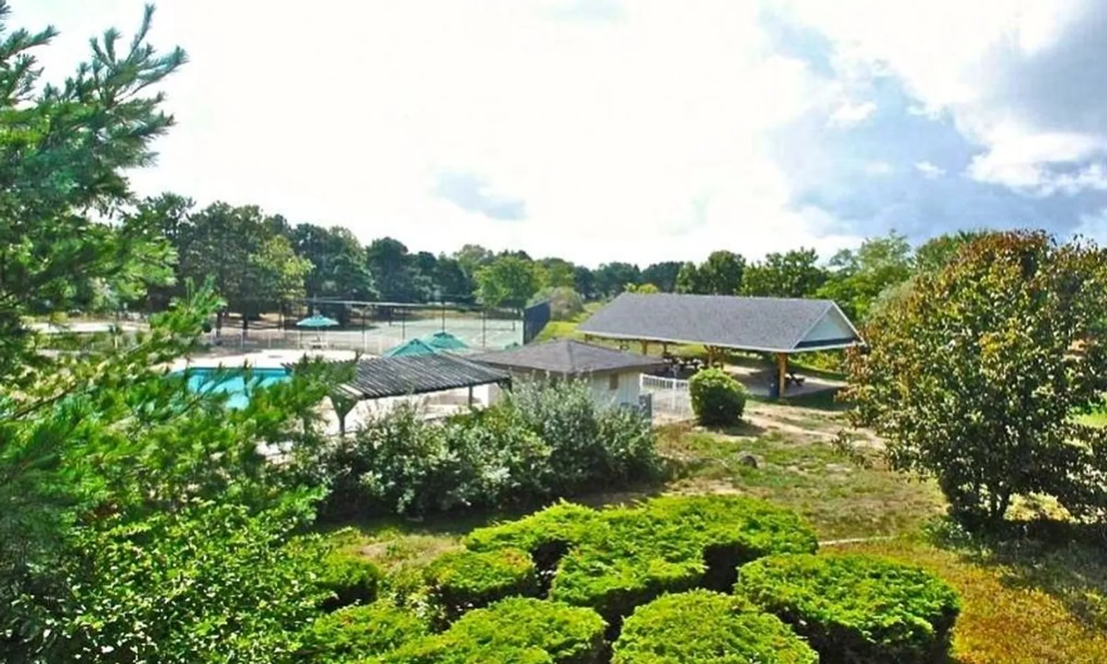 View from Deck
