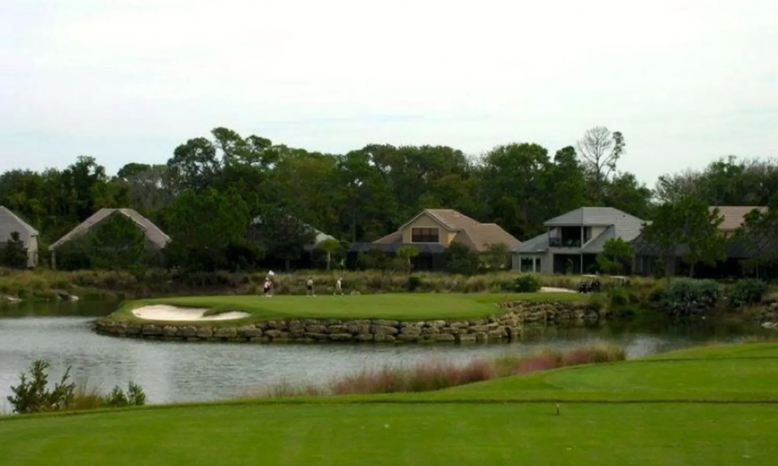 Picturesque Lake Views