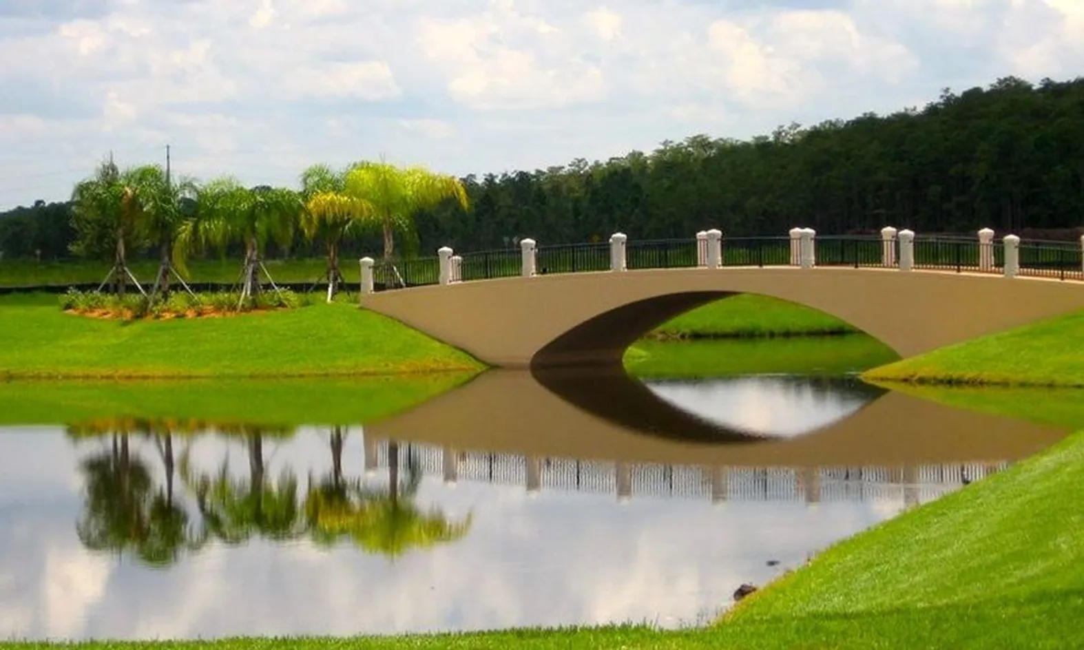 Beautiful Bridges