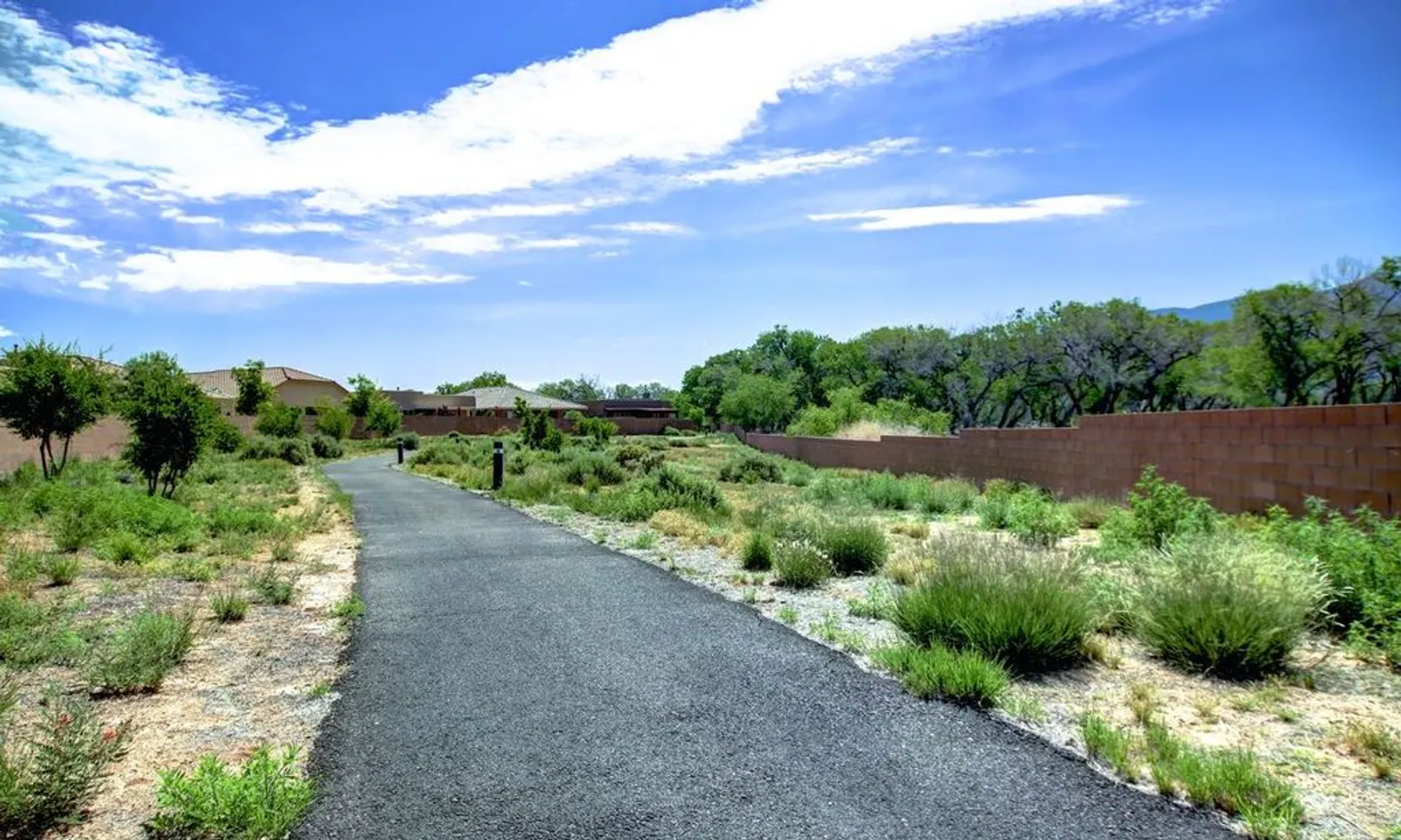 Paseo Del Bosque Walking Trail