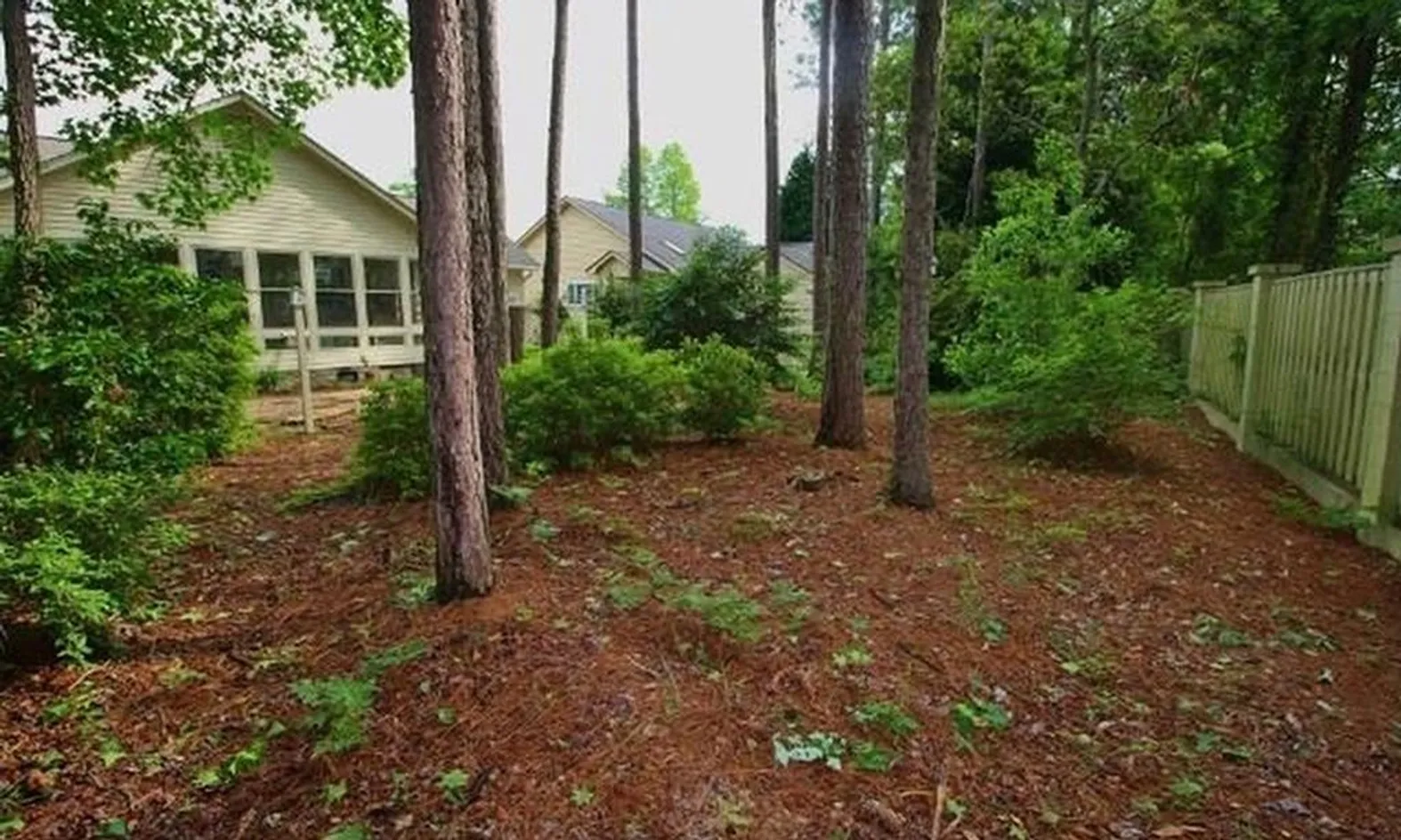 Lush Landscaping