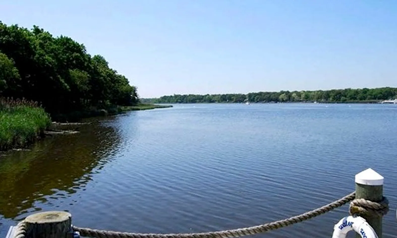 Scenic Ponds
