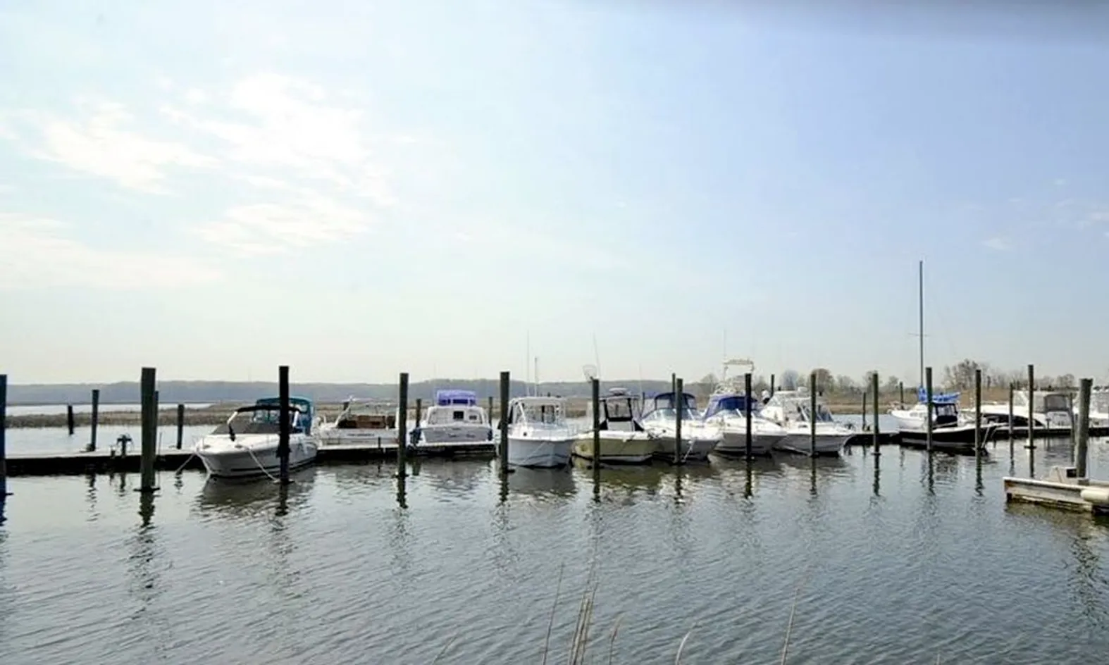 Nearby Marina