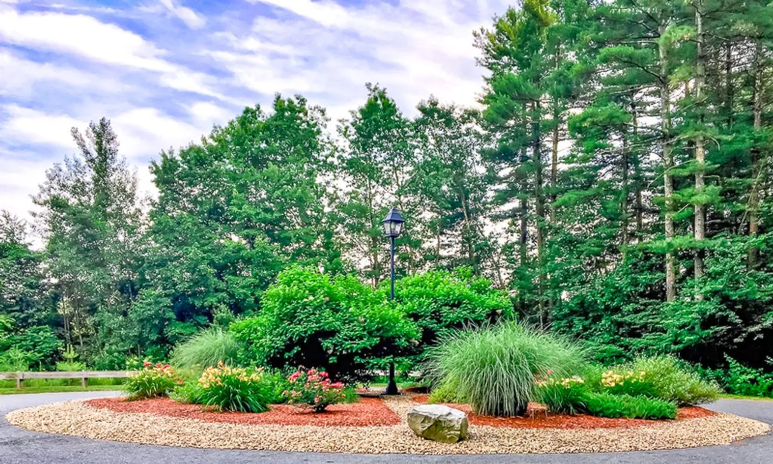 Lush Landscapes