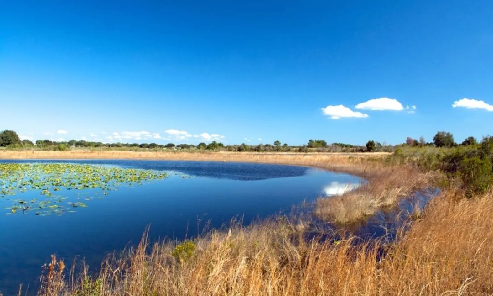 Scenic Ponds