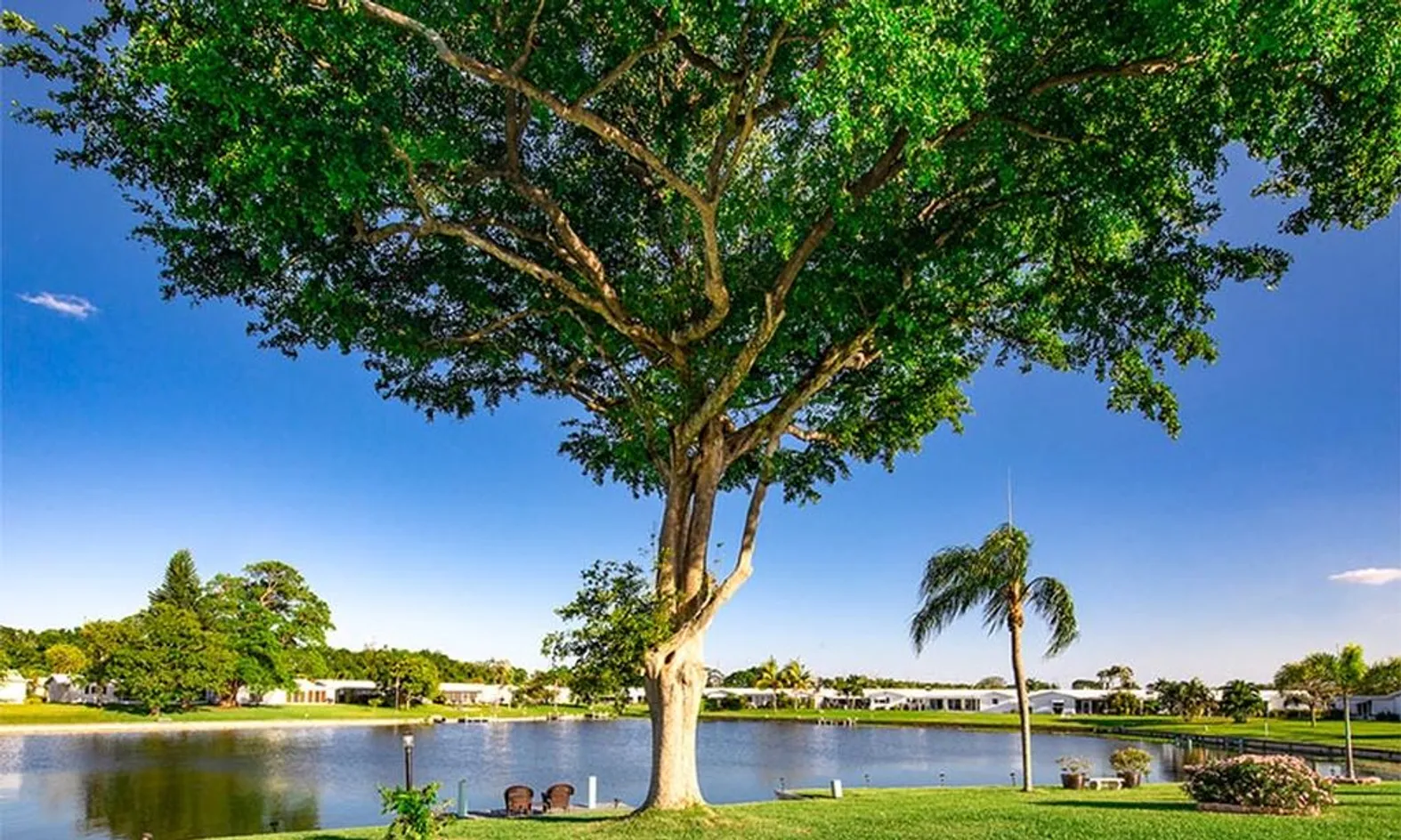 Scenic Ponds