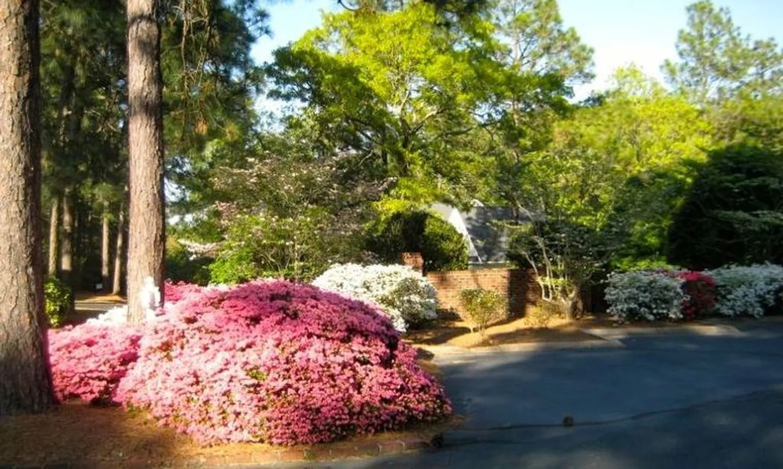 Lush Landscaping