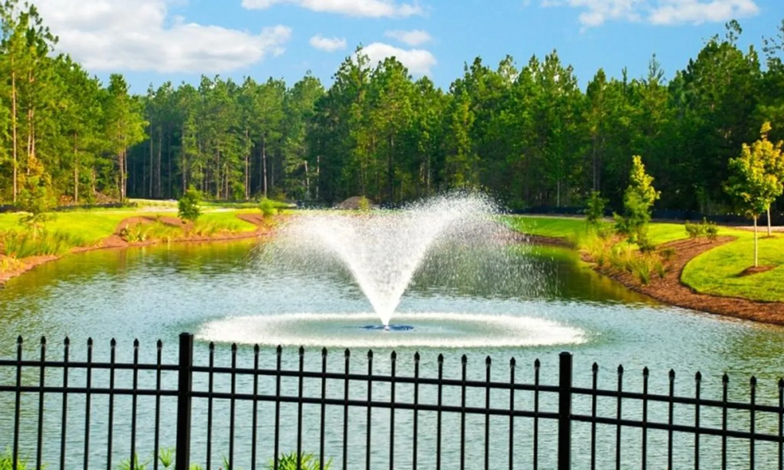 Scenic Ponds